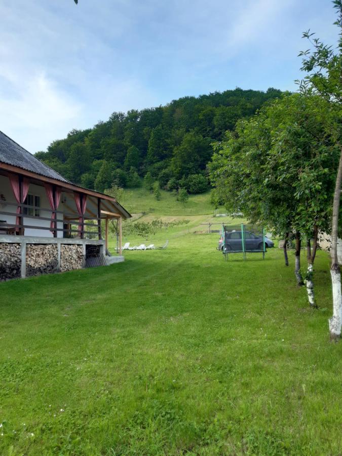 Rohia Casa Dyasof 빌라 외부 사진