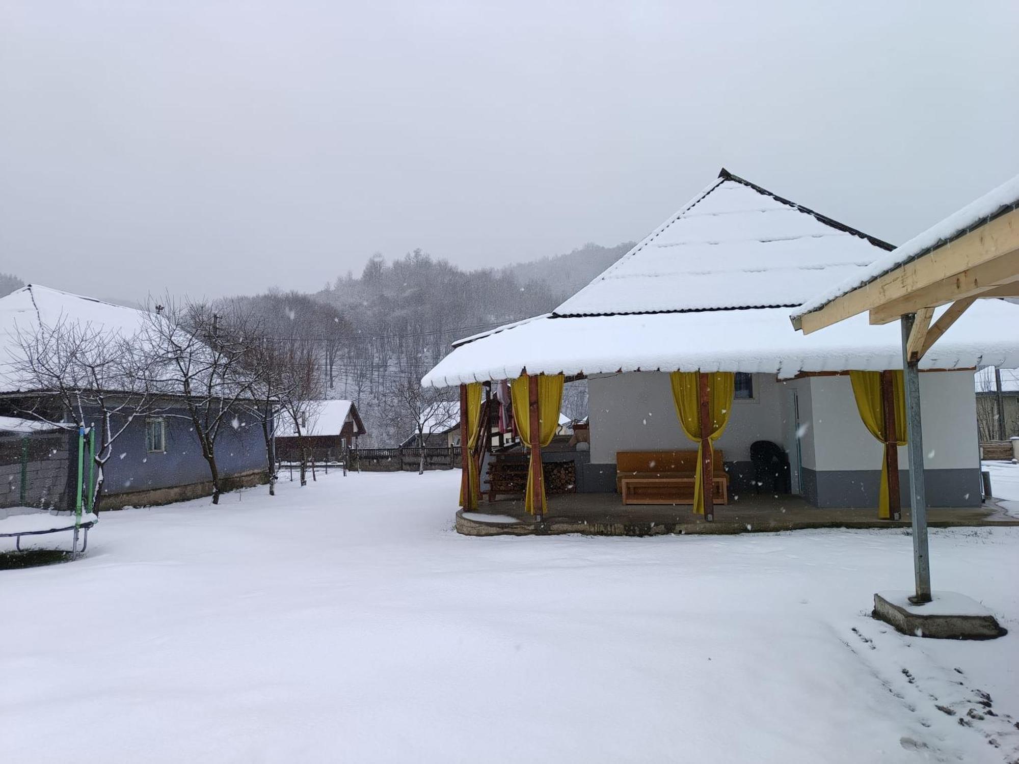 Rohia Casa Dyasof 빌라 외부 사진